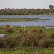 Parque Nacional de Doñana