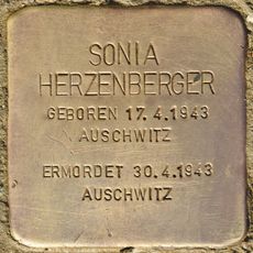 Sonia Herzenberger