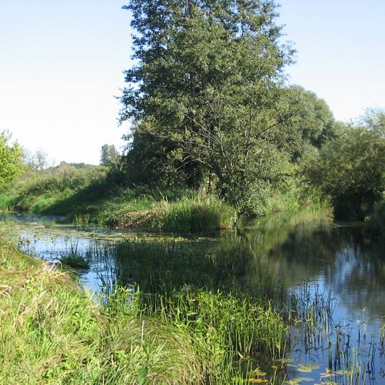 U. Rhinluch/Dreetzer See, Havell. Luch und Belziger Landschaftsw.