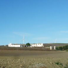 Viña el Calderín del Obispo