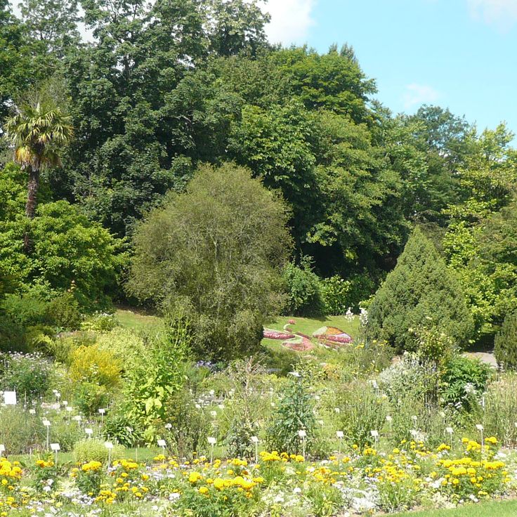 Giardino Botanico