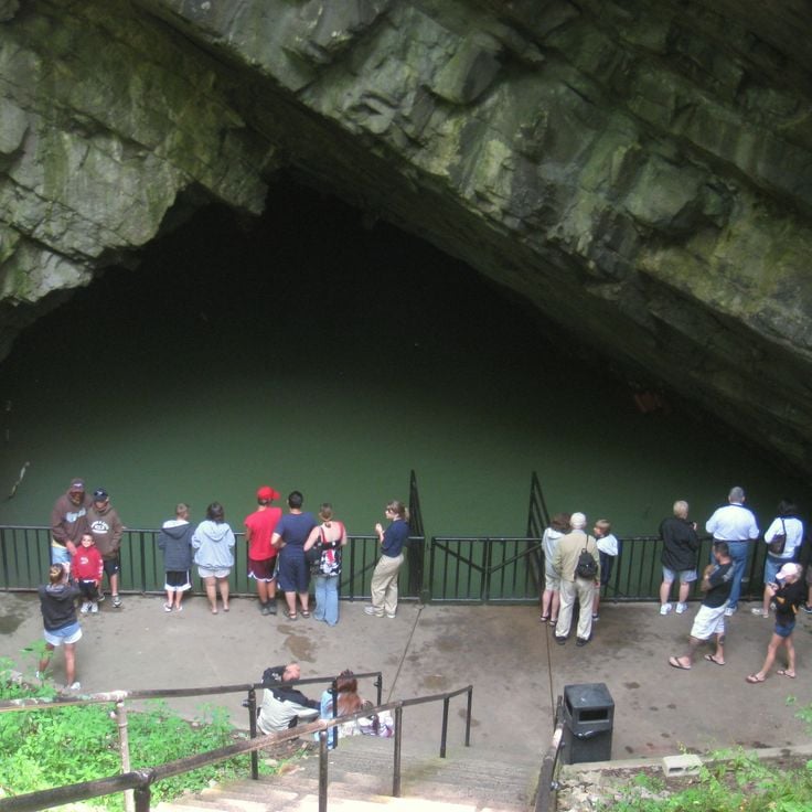 Caverna e Parque de Vida Selvagem Penn's