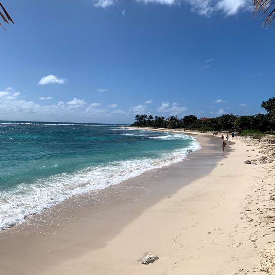 Plage des Raisins Clairs