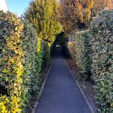 Chemin de la Calotte