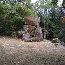 Roche Eyzide