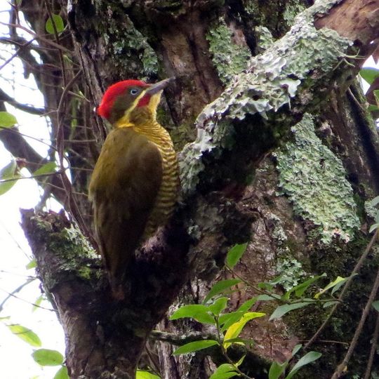 Parque provincial Pampa del Indio