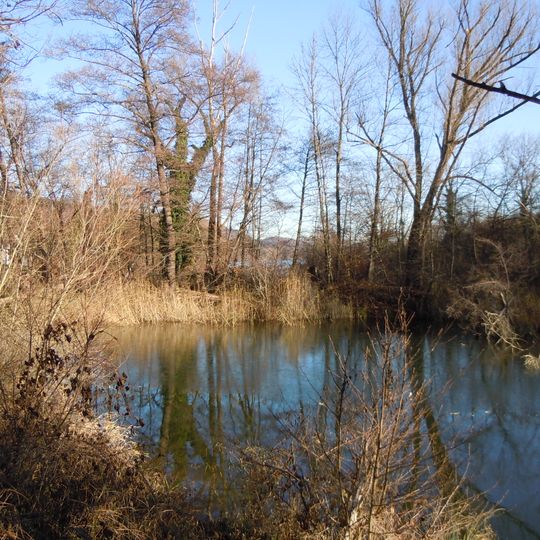 West- und Nordufer Baggersee Kirchentellinsfurt