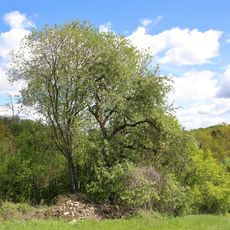 2 Steinkreuz Linden Neubronn Reckerstaler Straße