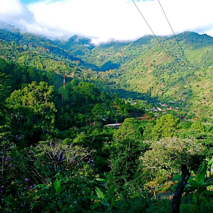 Parc national La Tigra
