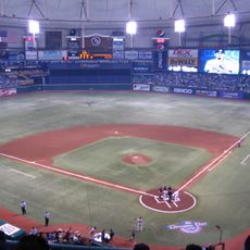 Tropicana Field