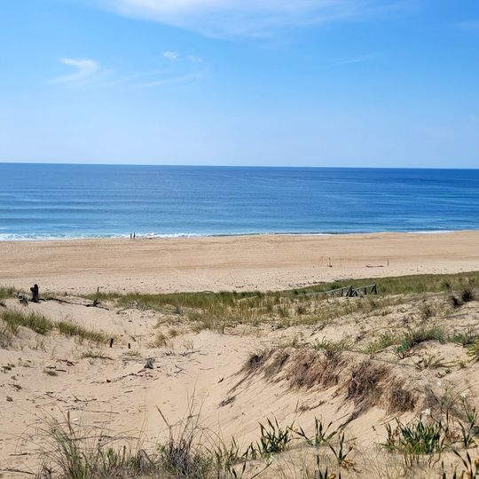 La Lette Blanche - Vielle