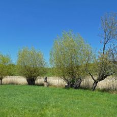 Kurzer Wasen-Roter Wasen