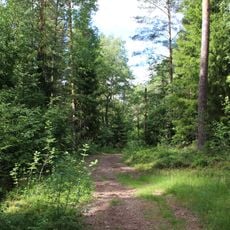 Sköndalsskogen