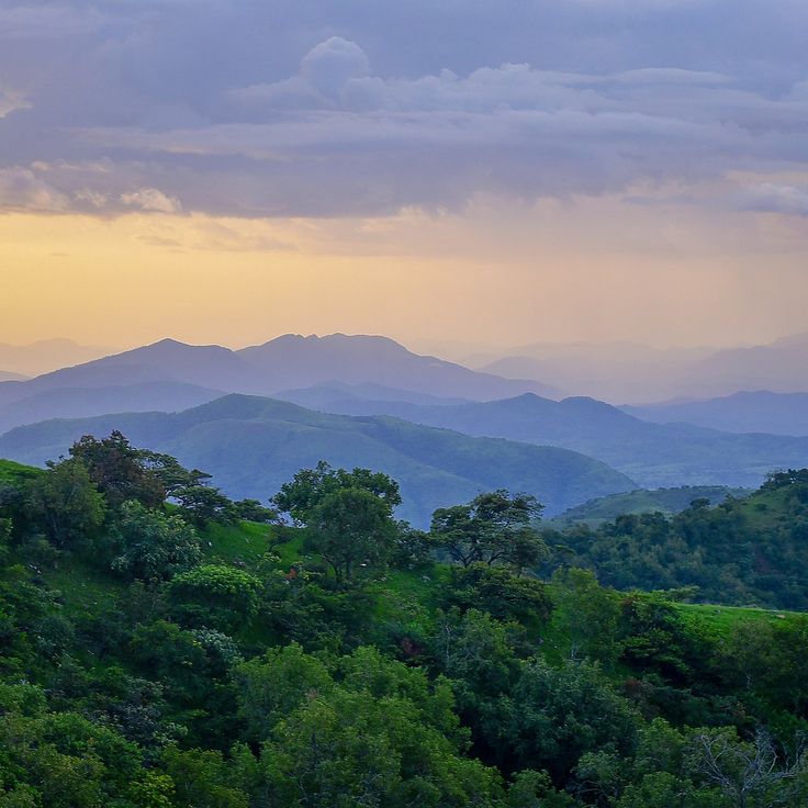 Gashaka Gumti National Park