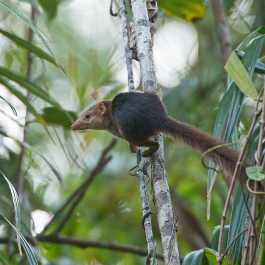 Parque nacional de Campbell Bay