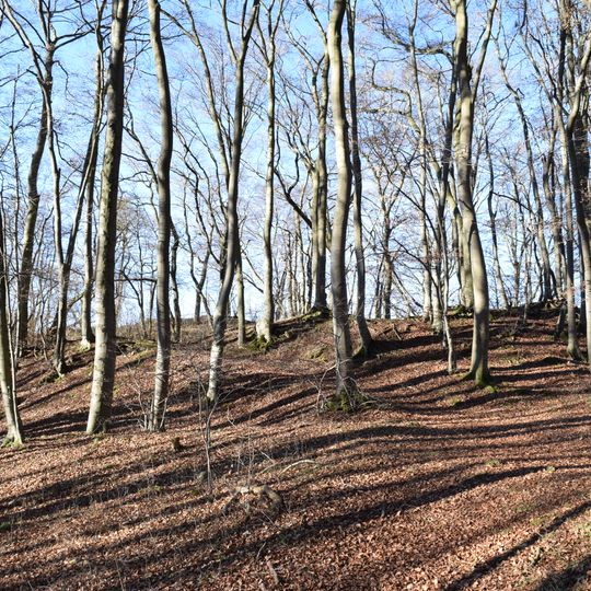 NSG Auen und Haenge an Urft und Gillesbach