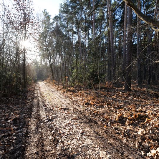 Espenluch und Stülper See