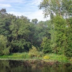 Auwald Stapelskotten