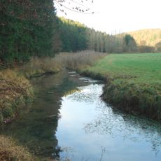 Bachmühlbachquellen bei Bachmühle