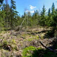 Rimpacher Moos - Weites Ried