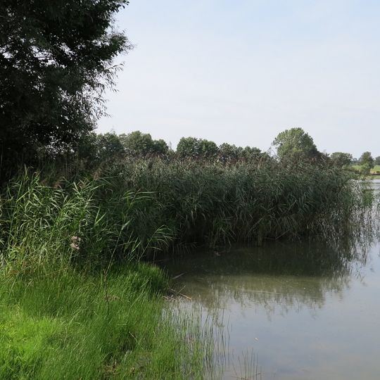 Kitnowo, Kuyavian-Pomeranian Voivodeship