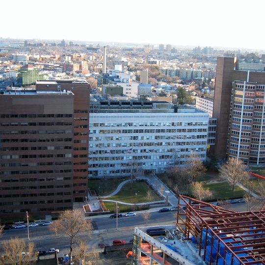 Albert Einstein College of Medicine