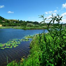 Heinz-Sielmann-Weiher