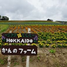 かんのファーム