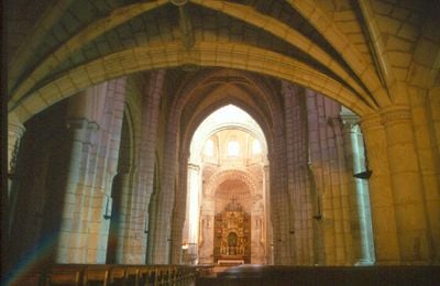 Interior 1