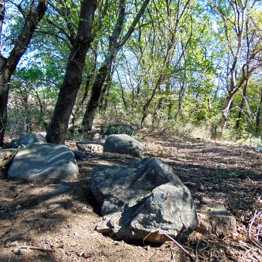 Ветка Црква