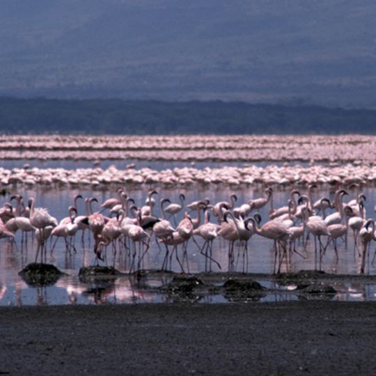 Systeem van Keniaanse meren in de Grote Riftvallei