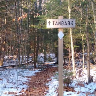 Tanbark Trail