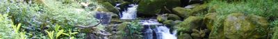 Panoramic View 1