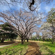 Inada Park