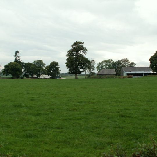 Penuwch Fawr