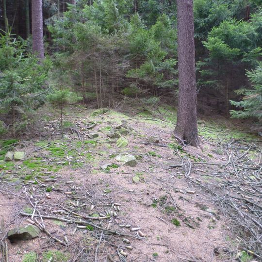 Ringwall Hallgarter Zange