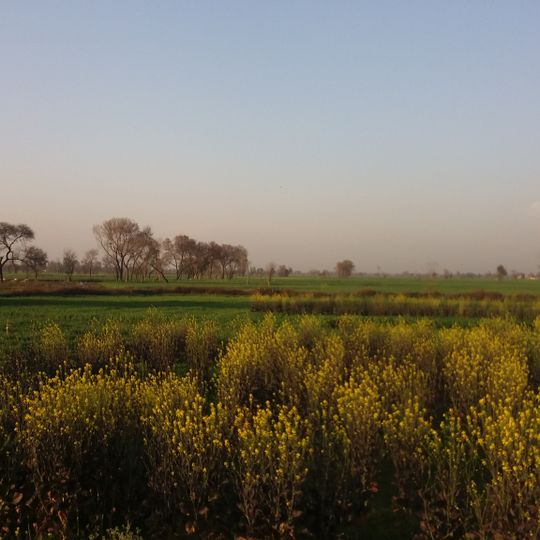 Shakargarh Tehsil