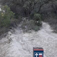 GR 4