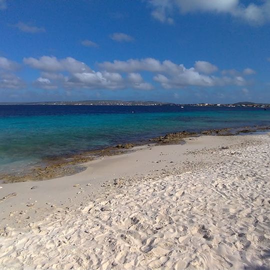 Playa Palu di Mangel