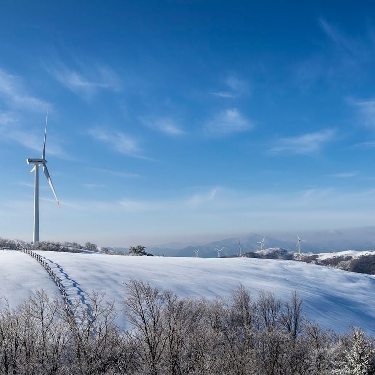 Eco Green Campus [Daegwallyeong Samyang Ranch]