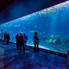 North Carolina Aquariums