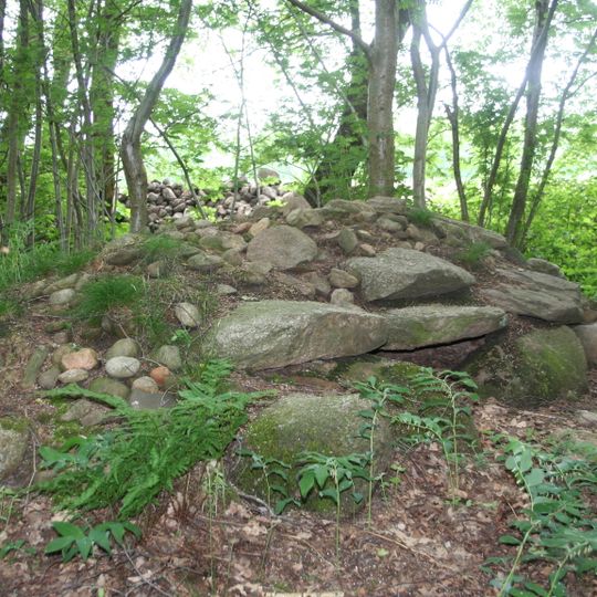 Steinkiste von Meckelstedt