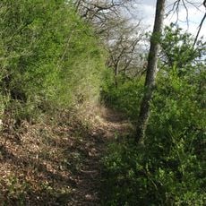 Buchswald bei Grenzach