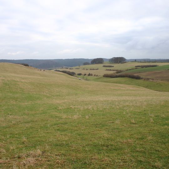 Magergrünland am Glockengrund