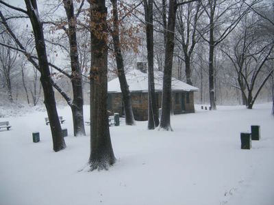 Winter 1