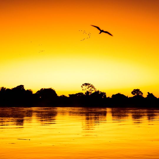 Taiamã Ecological Station