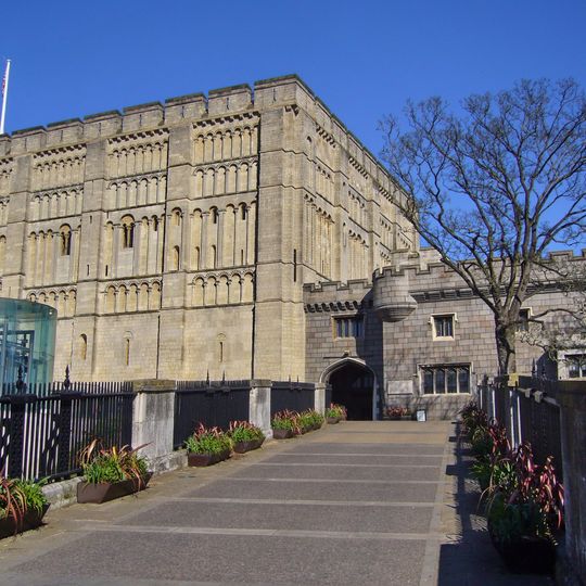 Norfolk Museums Collections
