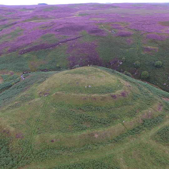 Bewick Hill Moor camp, Old Bewick