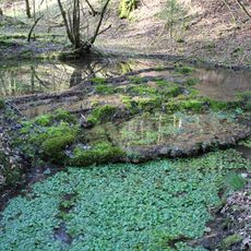 Schmelzwassertal Teufelsgraben SW von Holzkirchen