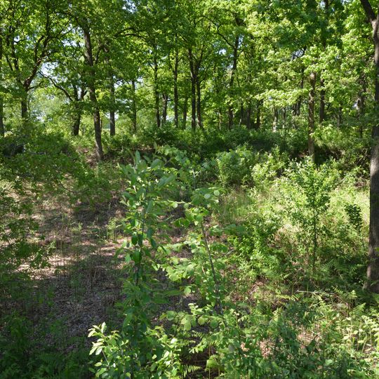 Schanze bei Dellbrück